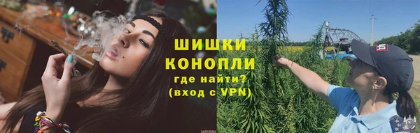 сатива Балабаново