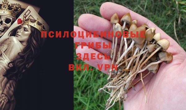 Альфа ПВП Балахна