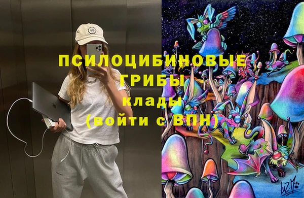 дмт Лиски