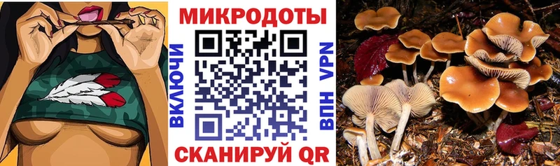 MEGA как зайти  Белокуриха  Псилоцибиновые грибы мухоморы 