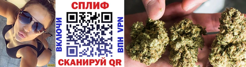 Конопля ГИДРОПОН Белокуриха